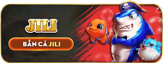 Chính sách cookie của pk8 code để tối ưu trải nghiệm người dùng